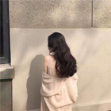 诸子百家果盘版下载
